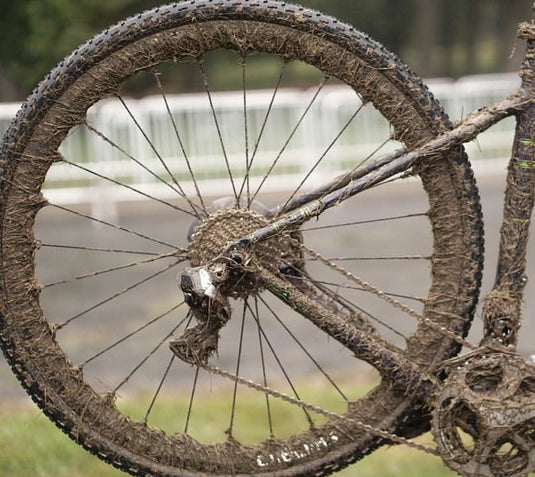 Mud-caked cyclocross bike rear wheel, cassette and derailleur, after a wet race — context for post-ride maintenance