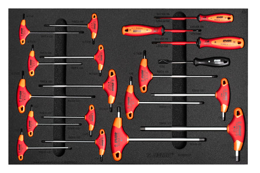 Bike Tool Set in Tool Tray