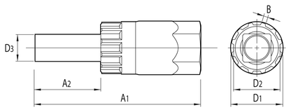 Unior 1670.9/4 dimension drawing: 75 mm overall, 11.9 mm guide pin, 12-spline HG lockring pocket, 21 mm wrench flats, 1/2 inch square drive